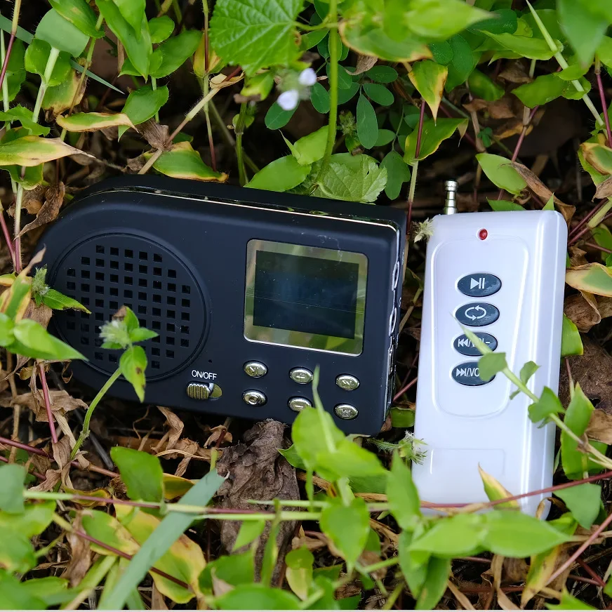 مشغل MP3 رقمي جديد للاستخدام ا - مراجعة Metronome Digital وسعره